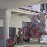 Zombie flies over the windshield of a Humvee