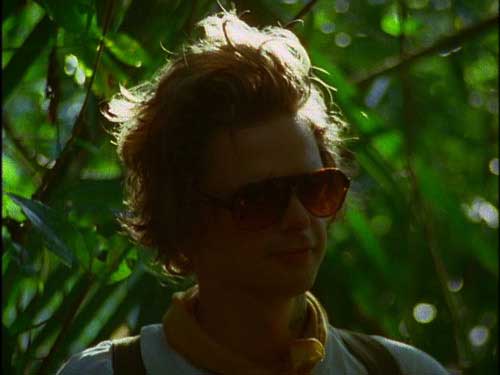 Young man wearing sunglasses in the jungle