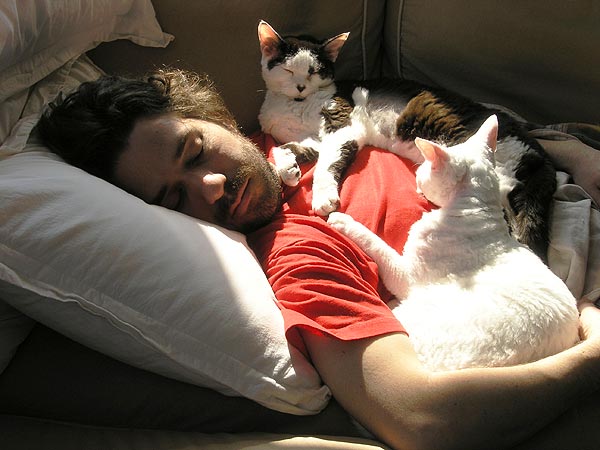 Kent Lambert takes a nap between media remixes with his special kitties Mochi and Asha