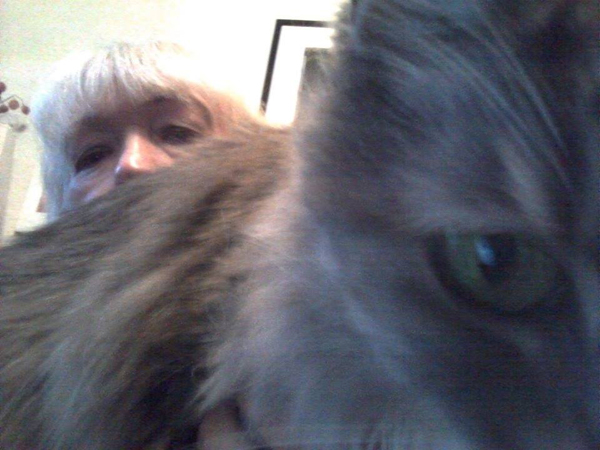 Squeeky, a very furry gray cat, blocks her companion, Salise Hughes, out of the frame.
