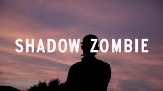 Man in silhouette at sundown with text Shadow Zombie