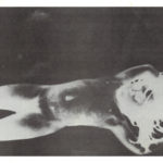 Canyon Cinema: Fog Pumas by Gunvor Nelson and Dorothy Wiley