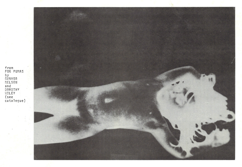 Film still from Fog Pumas by Gunvor Nelson and Dorothy Wiley