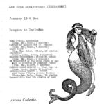 Film flyer featuring a mermaid