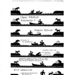 Film flyer featuring a man crossing a river with animals