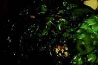 Frankensteins Bloody Nightmare Gross picture of a green blob monster with fangs
