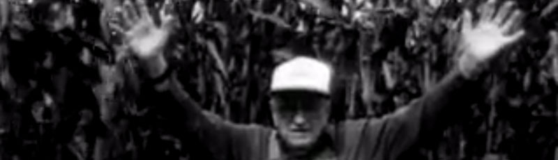 Milford Beeghly stands in a corn field