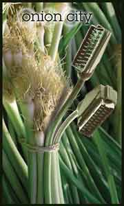 Onion City Experimental Film and Video Festival Onion City Festival poster featuring a bundle of green onions with cables intertwined