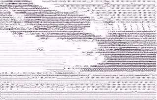 The Death Of Natural Language Text based illustration of a plane crash