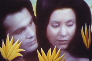 Exotic Adam and Eve in the Garden of Eden