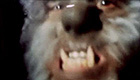 Wolfman growls at the camera