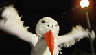 Person in bird costume flapping their wings