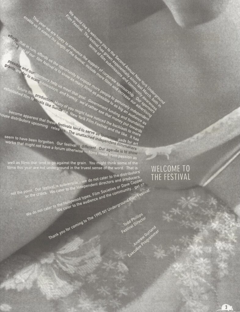 Intro essay for the 1995 New York Underground Film Festival